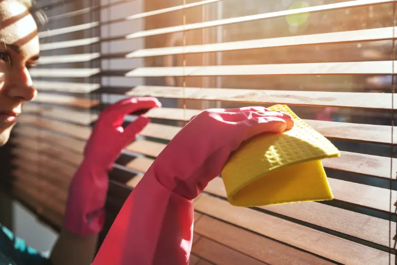 Common Issues Addressed By Residential Cleaning Professionals Rosemount MN
