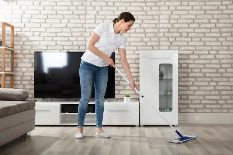 Common Issues Addressed By Residential Cleaning Professionals in Rosemount MN