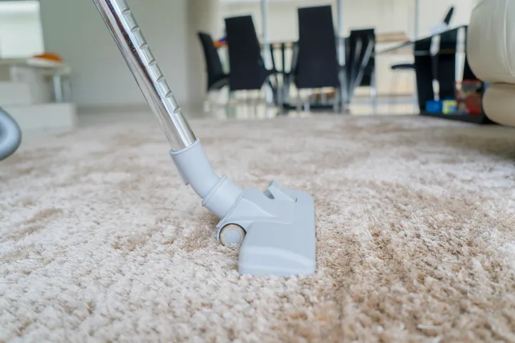 Experienced Carpet Cleaning Services Rosemount MN