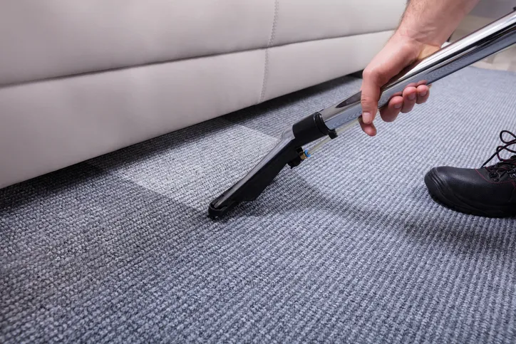How Professional Cleaning Restores High-traffic Carpet Areas Rosemount MN