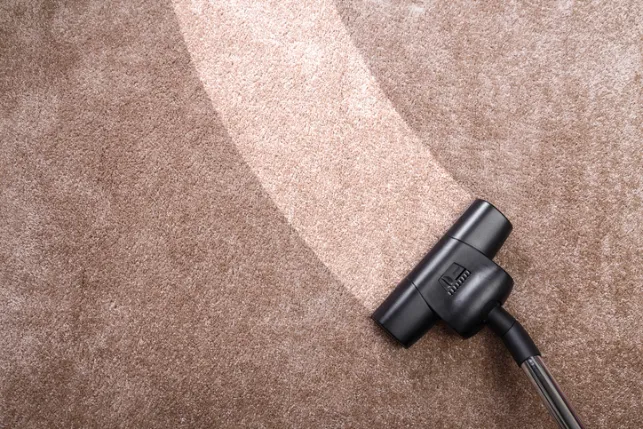 How Professional Cleaning Restores High-traffic Carpet Areas in Rosemount MN