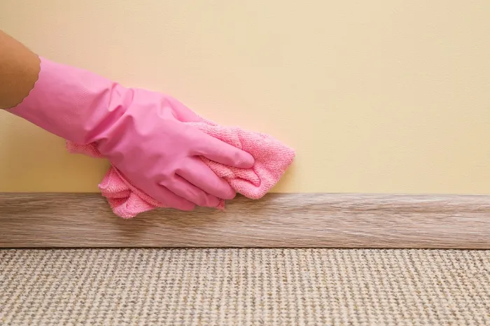 Your Reliable Cleaning Company in Rosemount, MN
