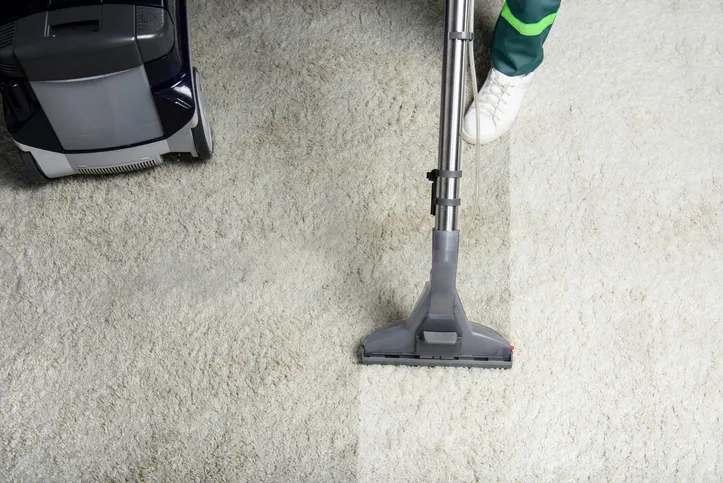 What To Expect During A Professional Carpet Cleaning Service in Rosemount MN