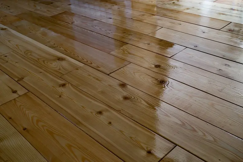 What To Expect During A Professional Floor Waxing Service in Rosemount MN